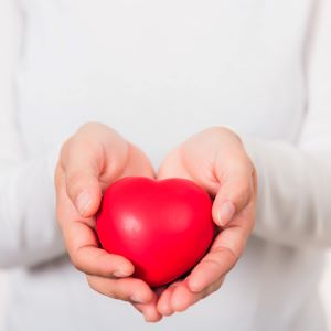carnitina y salud cardiovascular