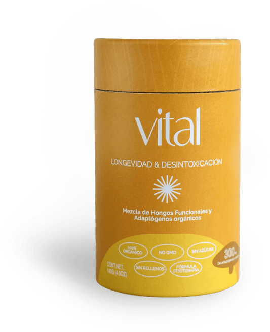 Ashwagandha, Cordyceps, Schizandra, Reishi  y Melena de León 5g Vital de Landa Adaptógeno | Longevidad - Desintoxicación | Polvo de 140g - 28 porciones