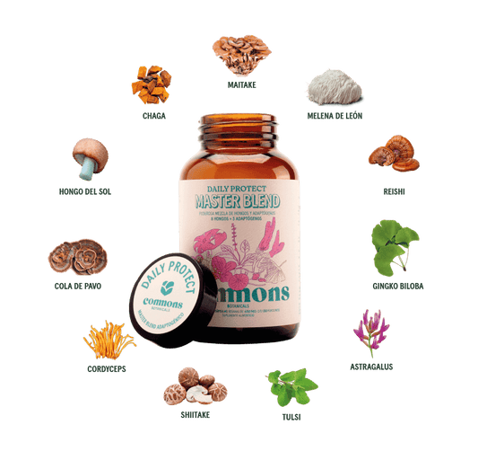 Mezcla Maestra de Hongos Adaptógenos 650mg por cápsula de Commons |  Ayuda a reducir la fatiga y el agotamiento mental | 160 cápsulas vegetales