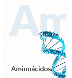 Aminoacidos