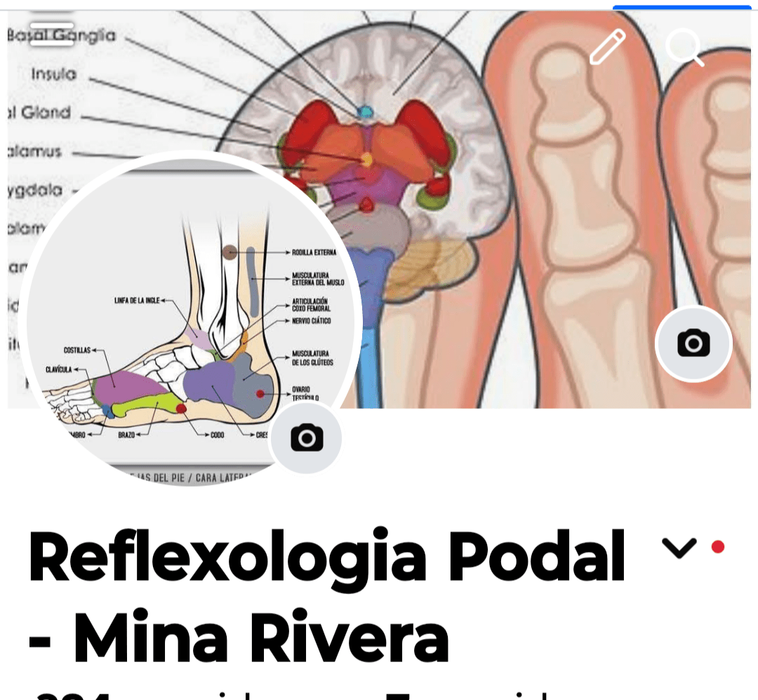 Screenshot_20260212-110049