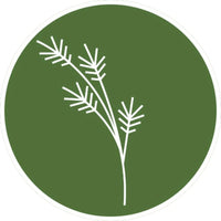 Sanar Integrative Polanco