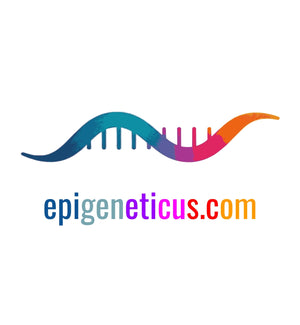 logo EpigeneticUS limpio