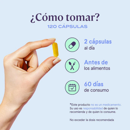 Berberina Equilibrium de Bfit | Equilibrio Metabólico |  120 caps