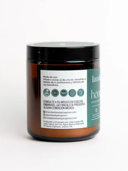 Hongo Maitake,  extracto orgánico de Grifola frondosa de Landa | Contribuye al equilibrio metabólico y antioxidante | 100 g