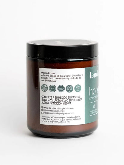 Hongo Shiitake, extracto orgánico de Lentinula edodes de Landa Adaptogenos | Favorece la energía y la vitalidad diaria, sistema inmune | Polvo 100 g