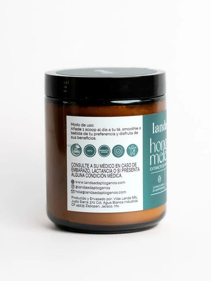 Hongo Melena de León, extracto orgánico de Hericium erinaceus de Landa | Apoya la memoria y el enfoque cognitivo | Polvo 100 g