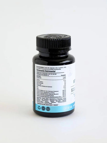 Melena de León, Cordyceps, Bacopa, Rhodiola, Ginseng + Reisgi Mind & Stress Relief de Landa Adaptógenos | Apoyo para la Memoria y Concentración | 90 cápsulas