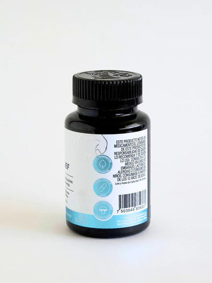 Melena de León, Cordyceps, Bacopa, Rhodiola, Ginseng + Reisgi Mind & Stress Relief de Landa Adaptógenos | Apoyo para la Memoria y Concentración | 90 cápsulas