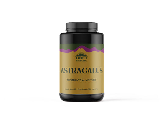 Astrágalo 500mg de Tibet Natura | Apoyo integral para la respuesta inmune del cuerpo, con propiedades antioxidantes | 60 cápsulas vegetales