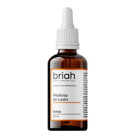 Extracto de Melena de Leon de Briah |  Concentración y Memoria | 30 ml