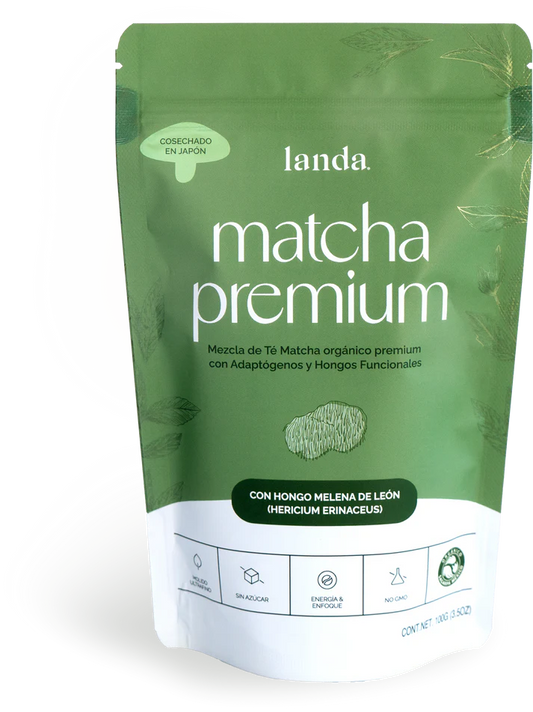 Té Matcha Orgánico Premium + Hongo Melena de León 5g de Landa Adaptógeno | Apoyo Cardiovascular - Antioxidante | 100g - 20 porciones