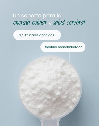 Creatine Monohydrate Support | Creatina Monohidratada NutriADN | 300 gr 100 Porciones por envase