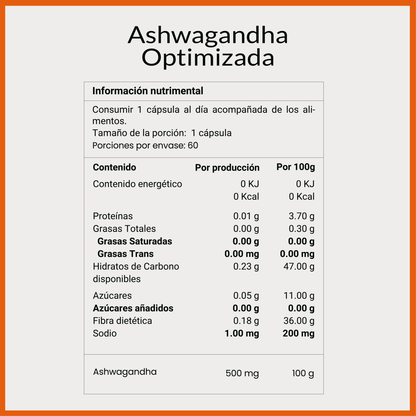 Plan Descanso Total | Por la Lic. Paulina Servin