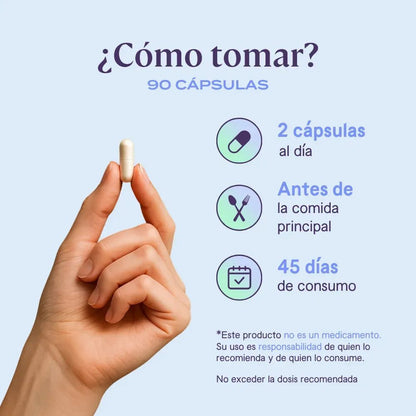 Cúrcuma Dig3-ST B-fit | Apoya metabolismo digestivo, confort abdominal | 90 cápsulas