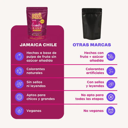 Ositos de Jamaica Chile Delou | Snack práctico, sin azúcar |  Gomitas 40 g