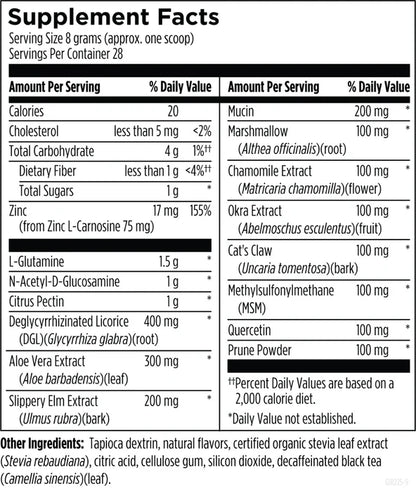 GI Revive de Designs for Health | Bienestar Digestivo | 28 porciones polvo Sabor durazno