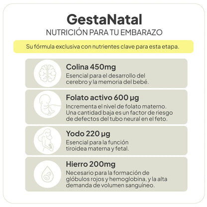 GestaNatal de IVB | Multivitamínico y mineral Prenatal Completo| 60 Cápsulas