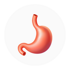 Digestivos