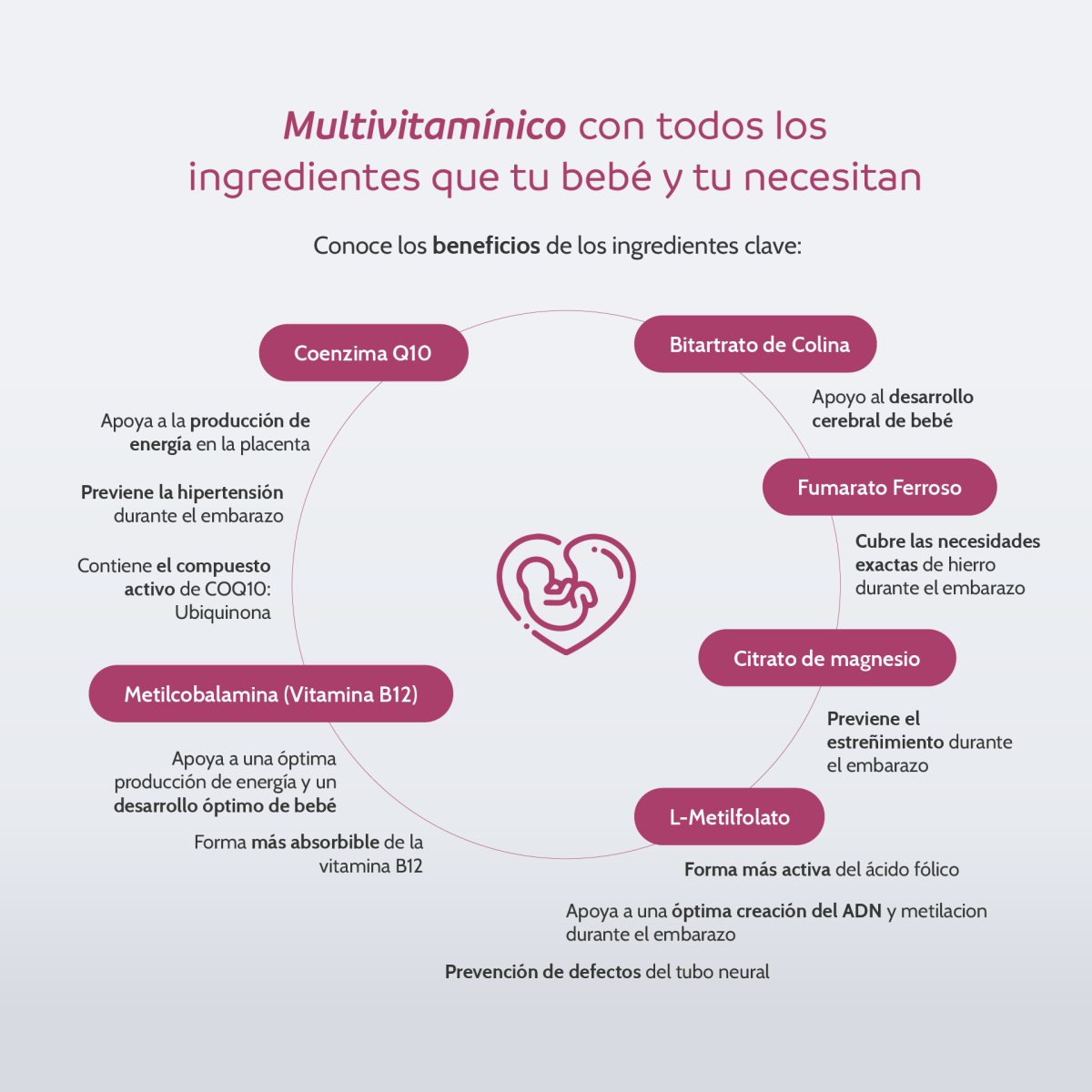 l carnitina beneficios en el embarazo La suplementacin con L-carnitina durante ayuda al adecuado desarrollo del sistema pulmonar de los bebs. Carnisin estimula el adecuado desarrollo y crecimiento con un delicioso sabor a uva. Adquirelo a L-Metil Folato y CoQ10 |