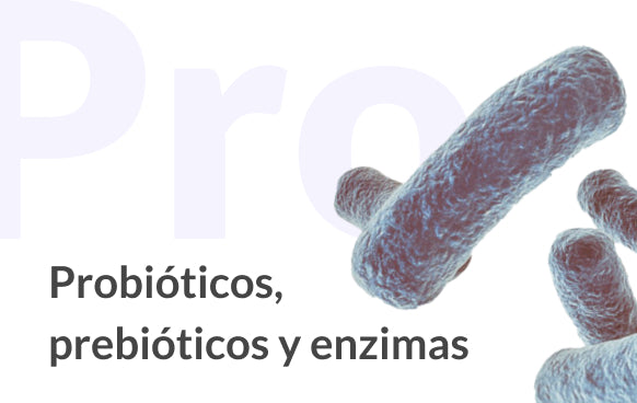 Probioticos, prebióticos y enzimas