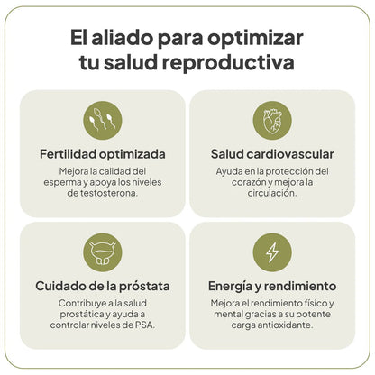 VitalNatal Man de IVB | Bienestar reproductivo del hombre | 60 Cápsulas
