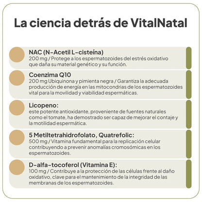 VitalNatal Man de IVB | Bienestar reproductivo del hombre | 60 Cápsulas