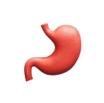 Digestivos