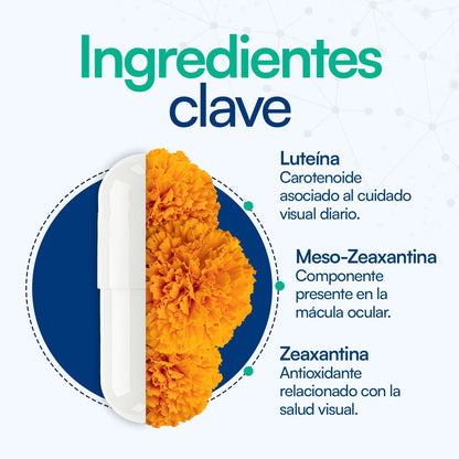Luteína y Zeaxantina Vision Ultra de Wohl Vidalabs | Bienestar visual diario, cuidado macular | 60 Cápsulas