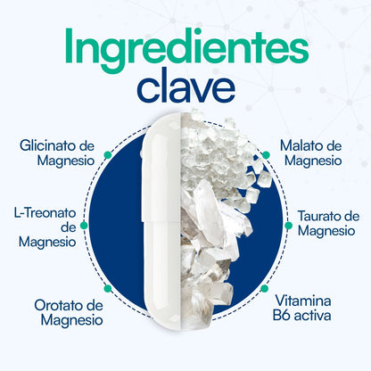 Magnesio ULTRA | Citrato + Glicinato + Oroato + Gluconato con Vitamina B6 de Vida Labs - Relajación Muscular y Reducción de Calambres | 60 Cápsulas Vegetales