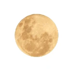 Magnesio